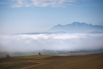 environment