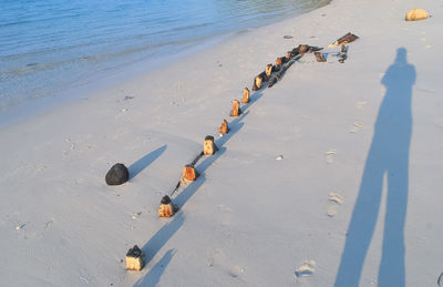 Shadow of man by wooden posts at beach