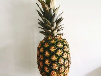 Close-up of fruit against white background
