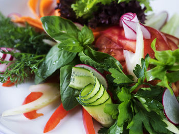 Close-up of salad in plate