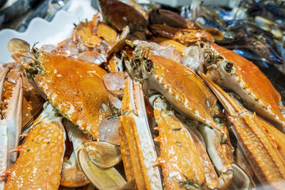 Close-up of seafood.