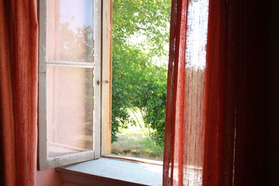 View of trees through window