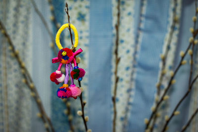 Close-up of pink flower hanging on branch