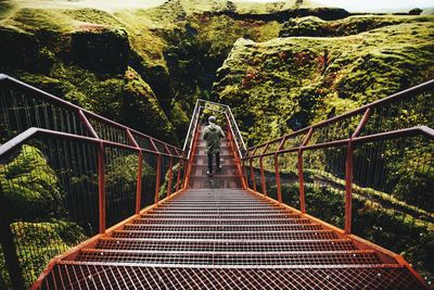 Footbridge amidst trees in forest