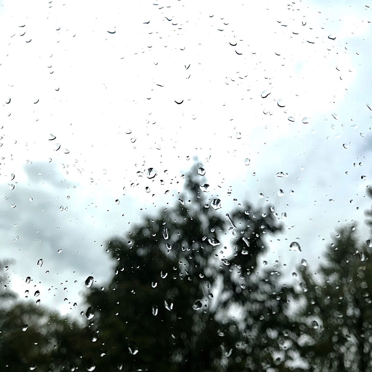 FULL FRAME SHOT OF WET WINDOW AGAINST SKY