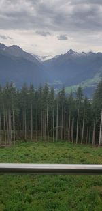 Scenic view of trees and mountains against sky