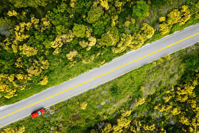 Aerial view of red car by the road amidst blooming flowers