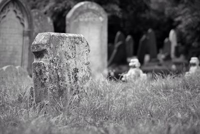 Close-up of cemetery