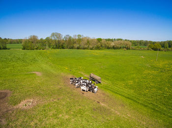 Scenic view of land and trees on field against sky