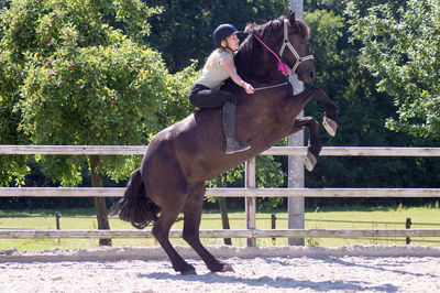 Side view of teenage girl horseback riding in ranch on sunny day