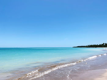Scenic view of sea against clear blue sky