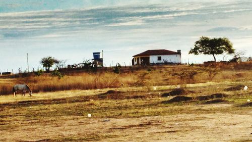 Houses on field against sky