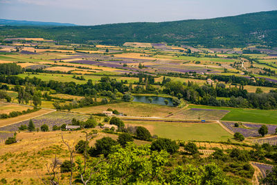 High angle view of agricultural field