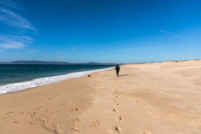 Rear view of woman walking at beach against blue sky during sunny day