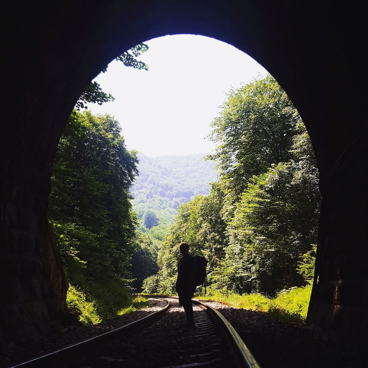 tree, plant, one person, real people, nature, full length, day, sky, growth, walking, lifestyles, the way forward, rear view, direction, transportation, arch, architecture, road, standing, outdoors