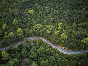 High angle view of road amidst trees in forest