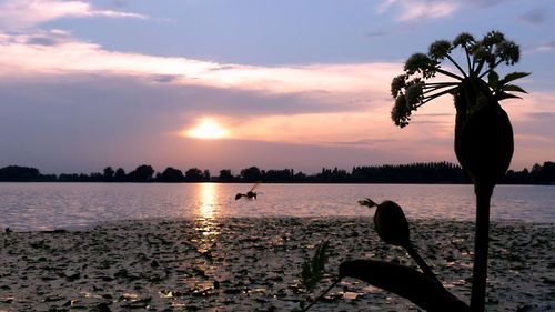 Scenic view of sunset over sea