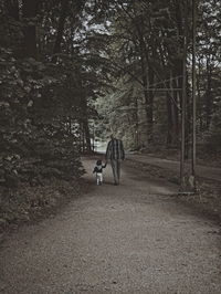 Rear view of person riding bicycle on forest