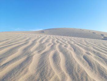 Pattern waves in desert of algeria