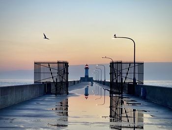  sunrise in duluth minnesota with puddle reflections, a lighthouse and  a lone bird flying in the sky 