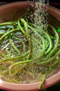 High angle view of vegetables