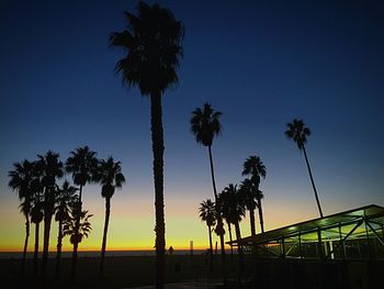 Silhouette of palm trees against sky during sunset