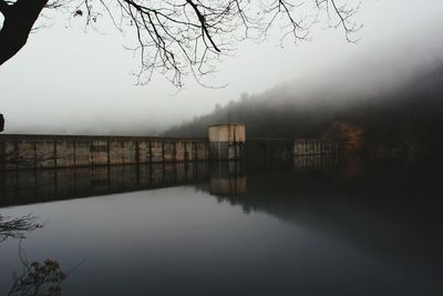 Reflection of trees in river