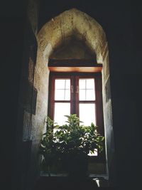 Potted plants in old building