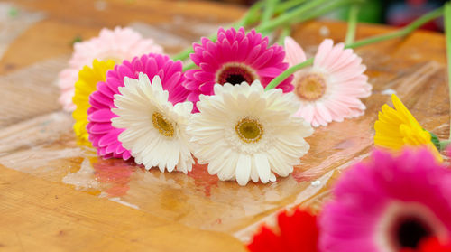 Close-up of pink flowers on table