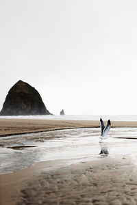 Scenic view of beach against clear sky