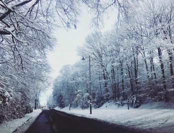 Snow covered road amidst trees in forest