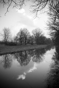 Reflection of bare trees in lake against sky