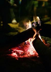 Close-up of bonfire at night