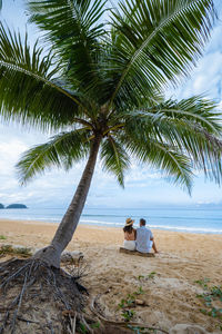 Palm trees on beach