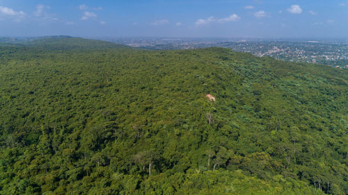 Aerial view of the kisarawe town in dar es salaam.