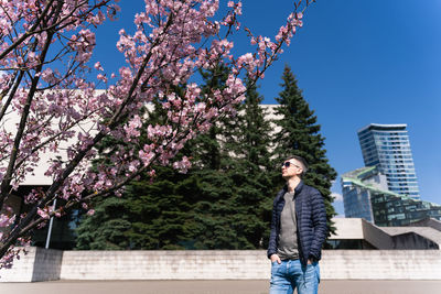 Man enjoying warm spring weather and sun standing under blooming pink cherry blossoms in city park