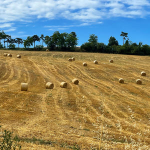 Hay bales on field against sky