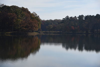 Scenic view of lake by trees against sky