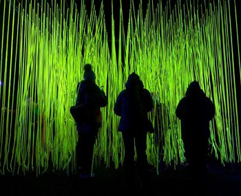 Rear view of silhouette people in water