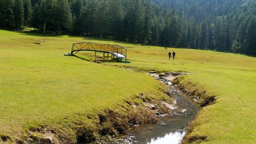 Scenic view of grassy field