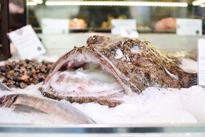 Close-up of fish with ice for sale in store