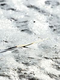 High angle view of snow on land