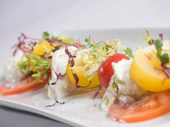 Close-up of served food