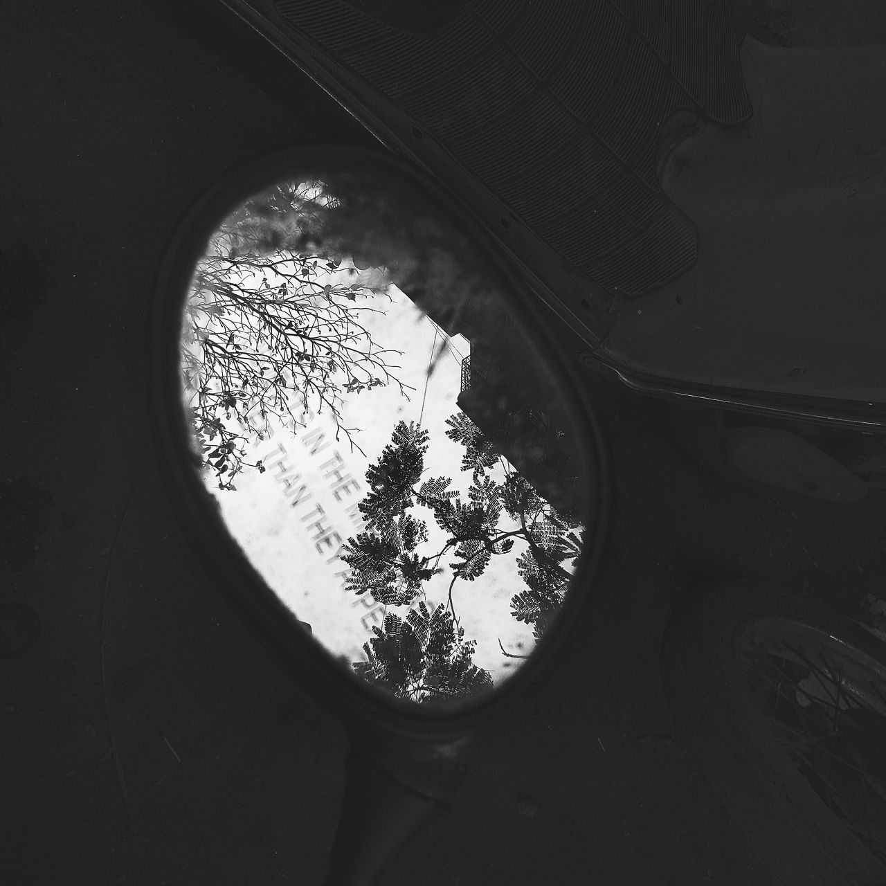 indoors, tree, silhouette, bare tree, sky, circle, reflection, branch, tranquility, no people, nature, low angle view, dark, close-up, day, arch, transparent, window, glass - material