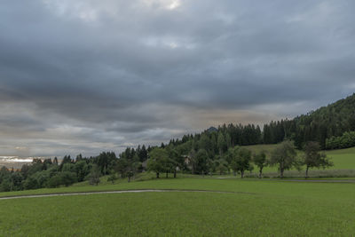 Scenic view of trees on field against sky