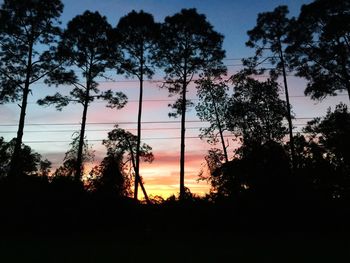 Silhouette of trees against sky at sunset