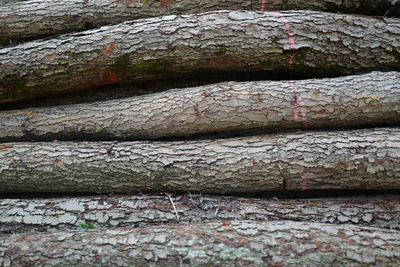 Full frame shot of wooden wall