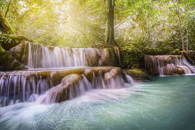 Scenic view of waterfall in forest