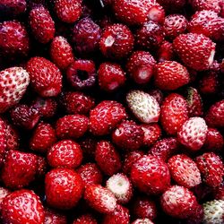 Full frame of strawberries