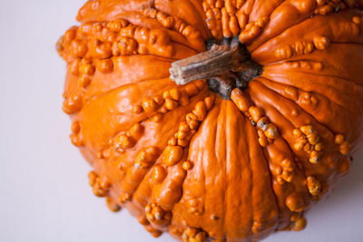 Close-up of pumpkin over white background